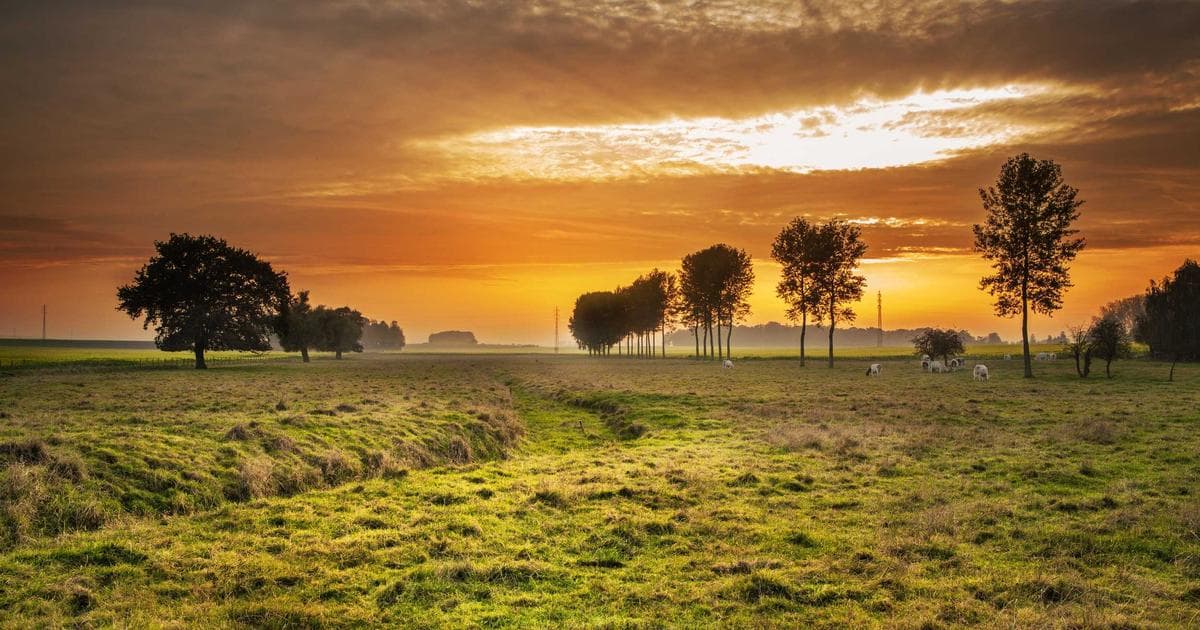 小红书AI头像壁纸：95后愿意为好图片花钱，这个副业被很多人低估了