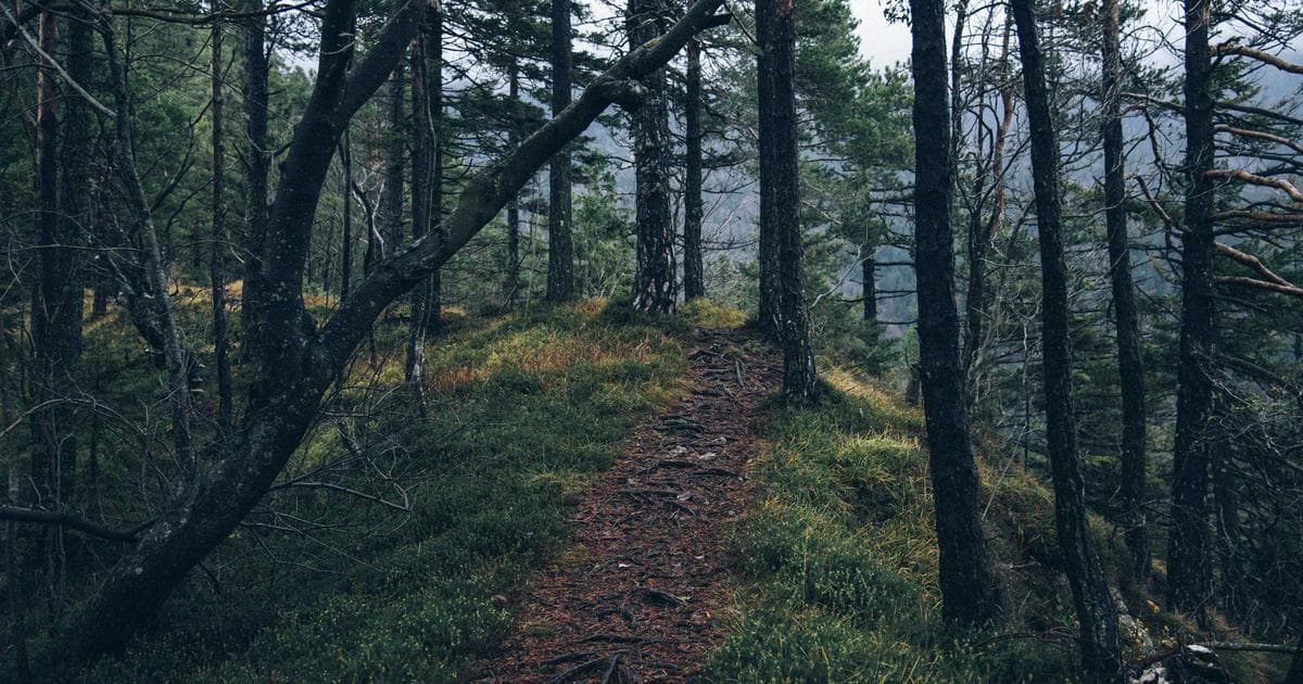 知乎好物推荐：写作变现最稳的副业，普通人也能月入5000+